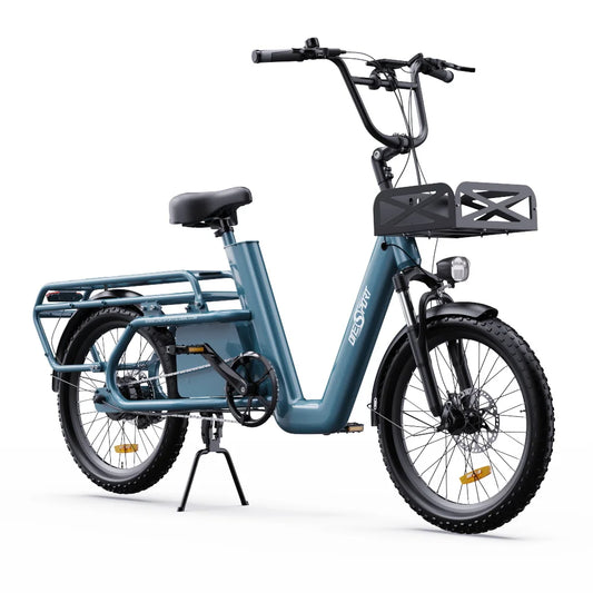 Electric Cargo Bike