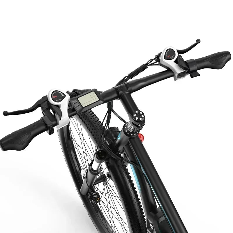 Vélo Électrique 750W 48V30AH 29"